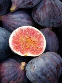 Саженец Инжира Черный принц