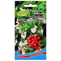 Брусника Коралл